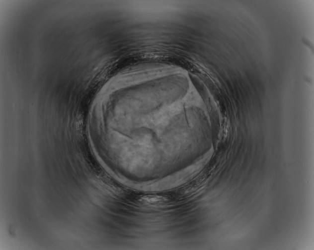 X0000091710557200709210944