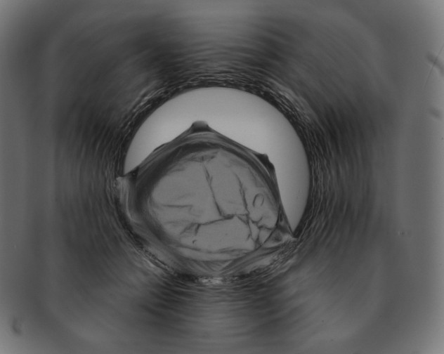 X0000091710558200709210944