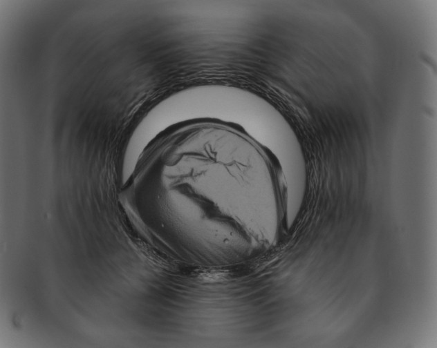 X0000091710560200709210944