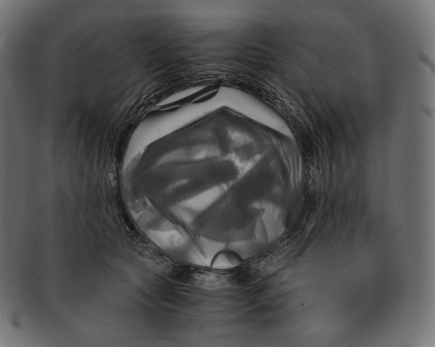 X0000091710561200709210944