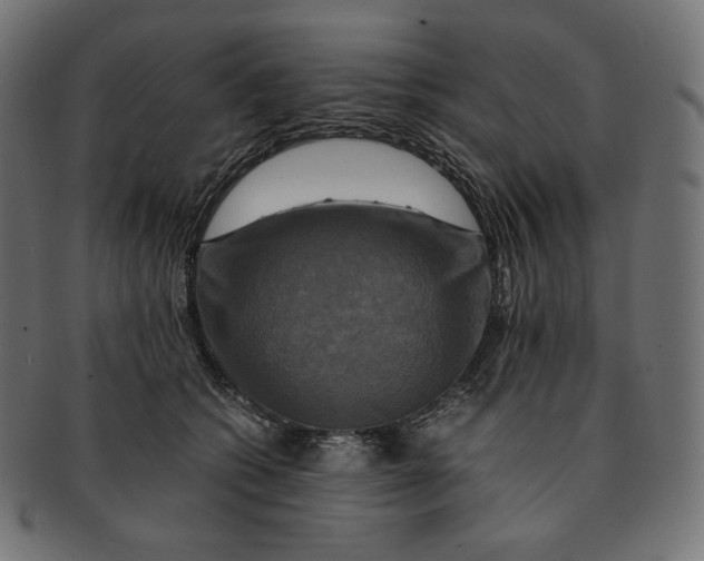 X0000091710562200709210944