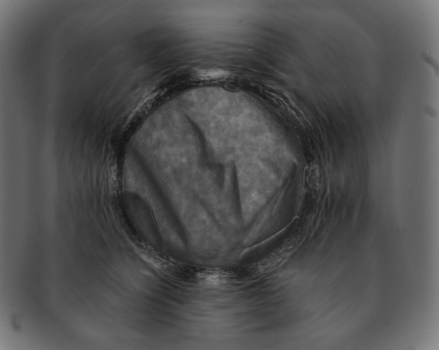 X0000091710564200709210944