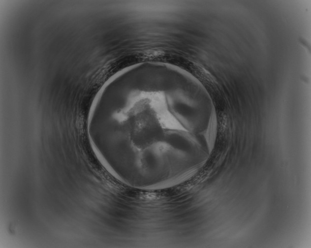 X0000091710565200709210944