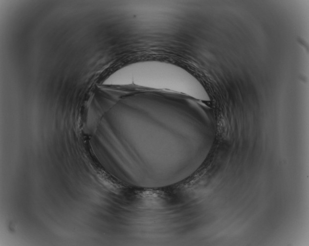 X0000091710566200709210944