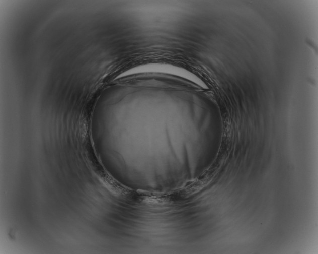 X0000091710568200709210944