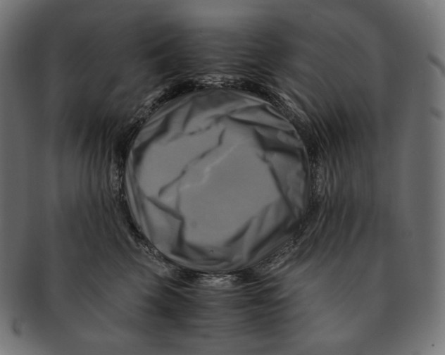 X0000091710569200709210944