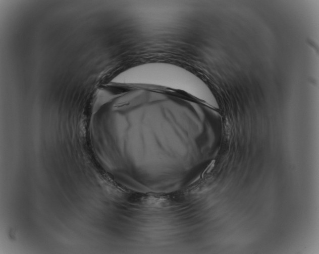 X0000091710570200709210944