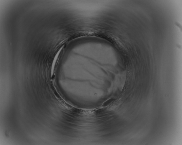 X0000091710576200709210944