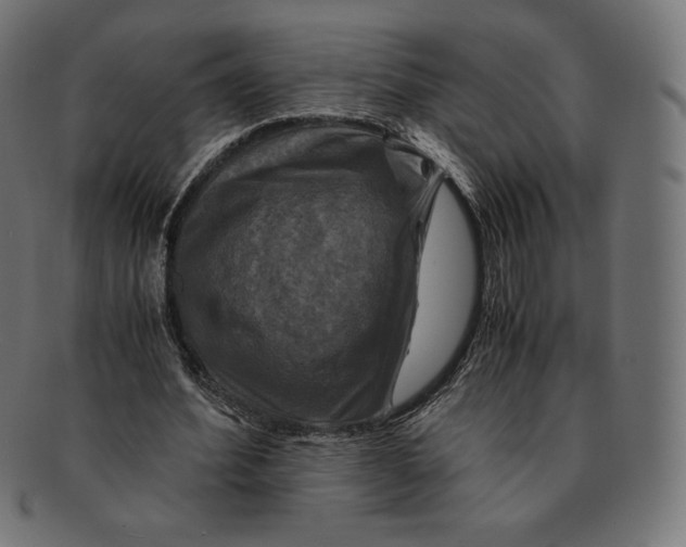 X0000091710580200709210943