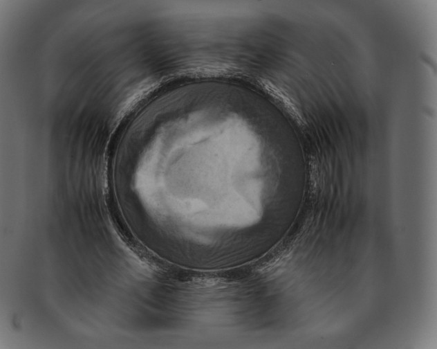 X0000091710582200709210943