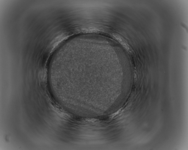 X0000091710583200709210943