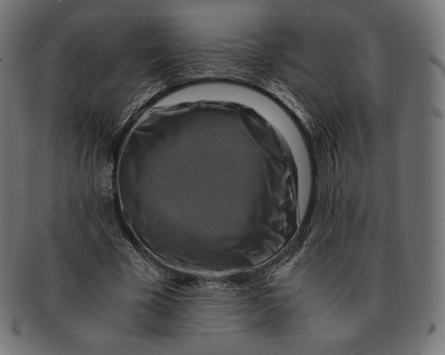 X0000091710585200709210943