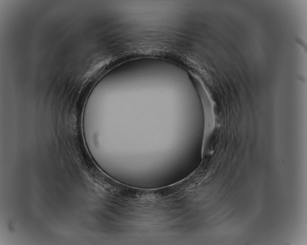 X0000091710587200709210943