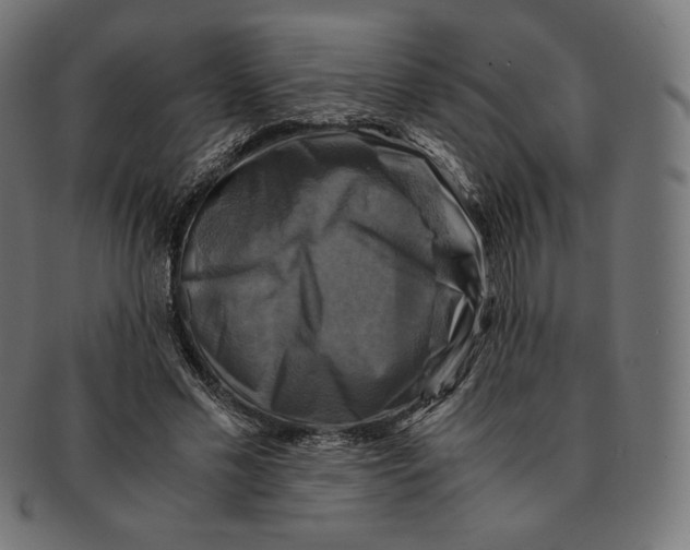 X0000091710589200709210943