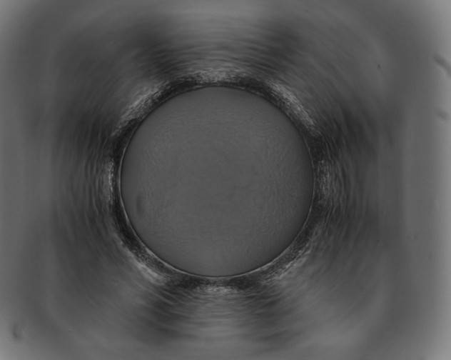 X0000091710590200709210943