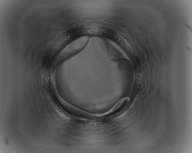 X0000091710593200709210943