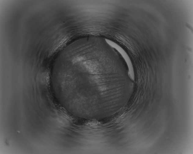 X0000091710595200709210943