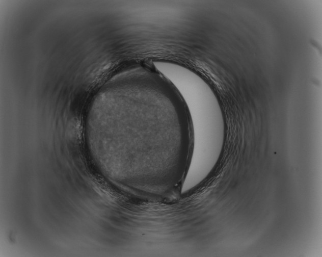 X0000091710597200709210943