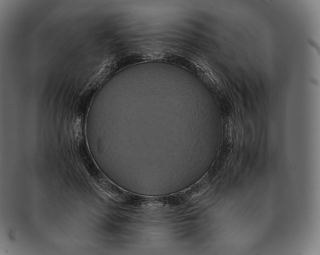 X0000091710598200709210943