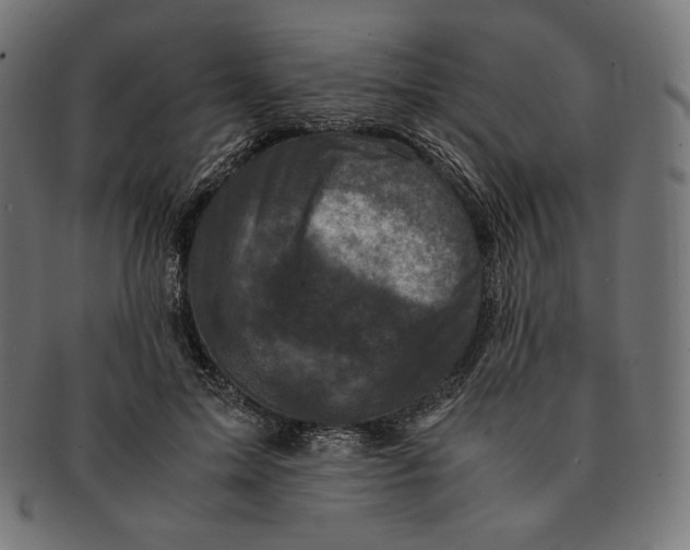 X0000091710599200709210943