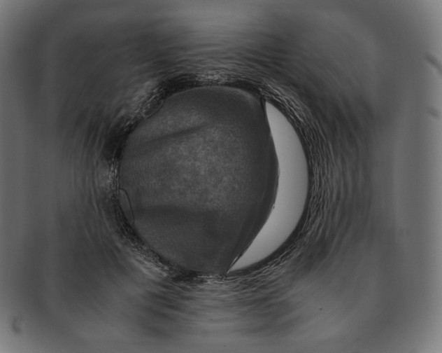 X0000091710601200709210943