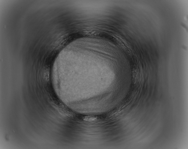 X0000091710602200709210943