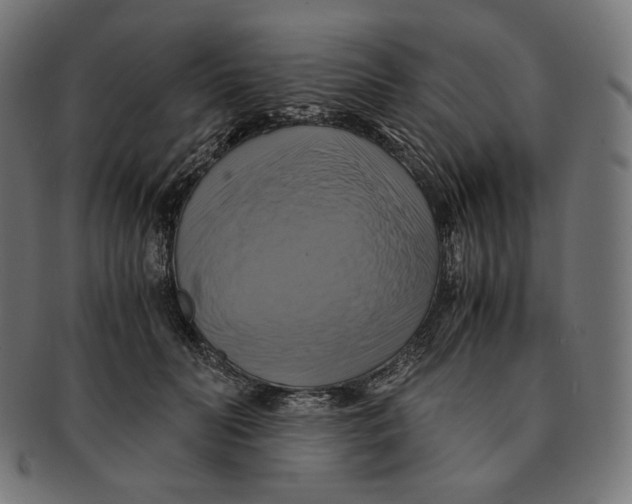 X0000091710606200709210943