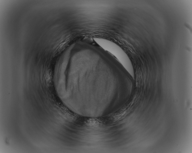 X0000091710608200709210943