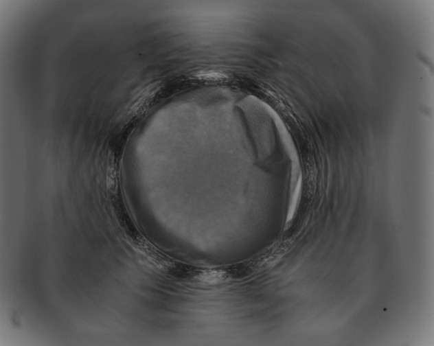 X0000091710609200709210943