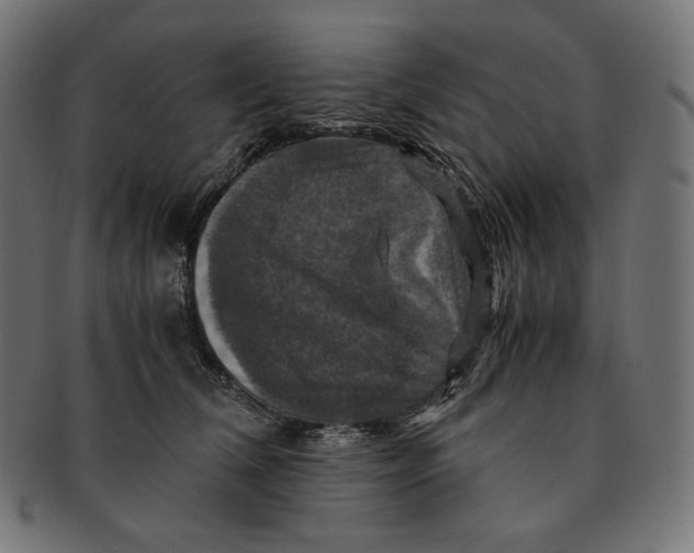 X0000091710612200709210943