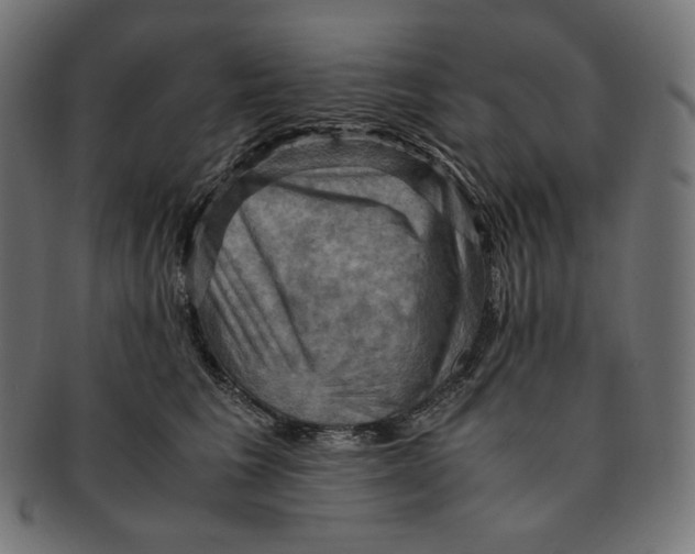 X0000091710613200709210943