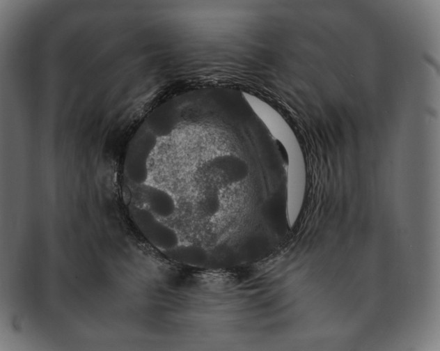 X0000091710615200709210943