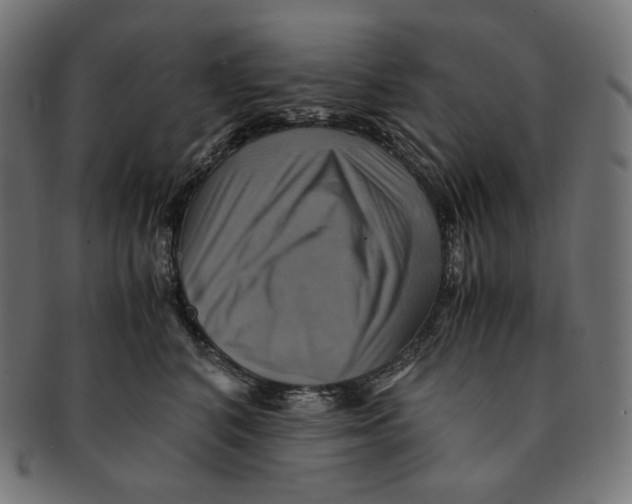 X0000091710616200709210943