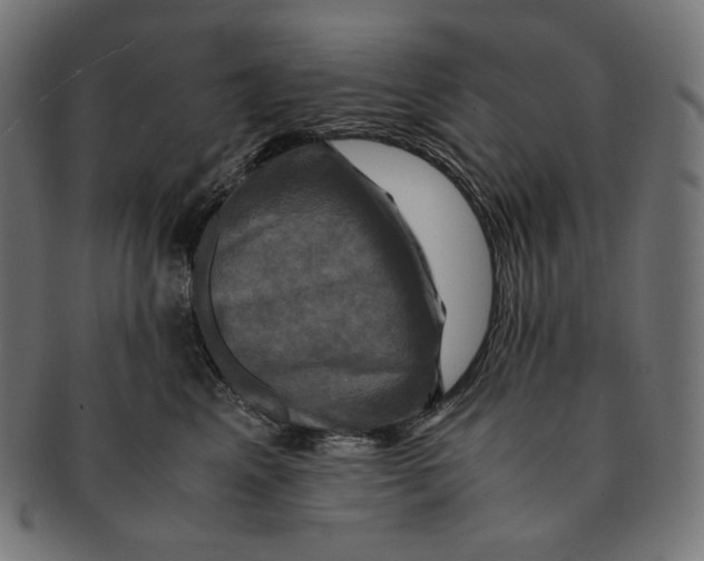 X0000091710617200709210943