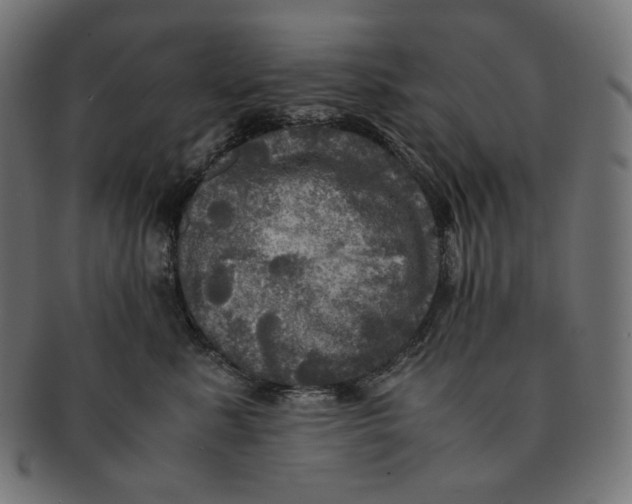 X0000091710619200709210943