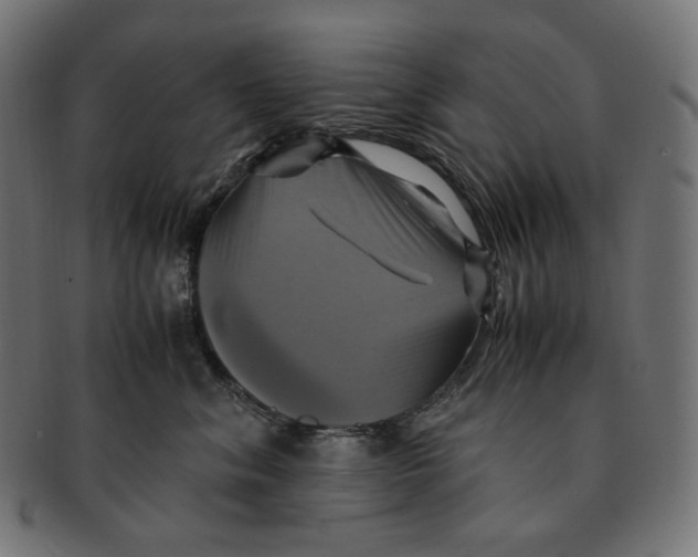 X0000091710620200709210943