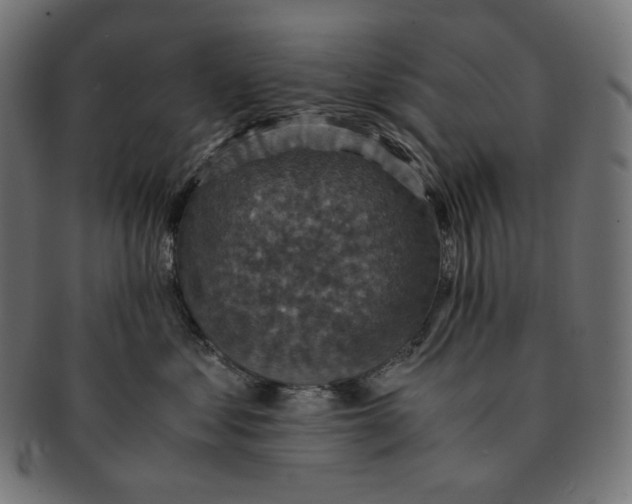 X0000091710621200709210943