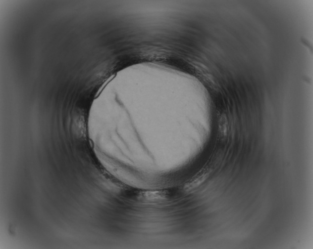 X0000091710622200709210943