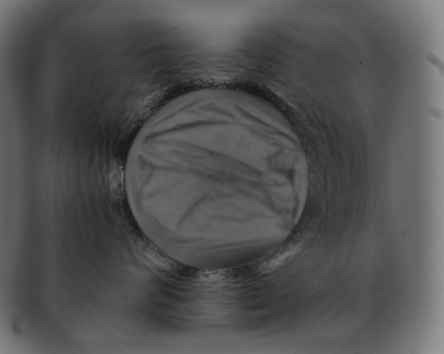 X0000091710624200709210943