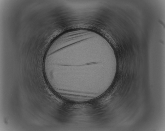 X0000091710625200709210942