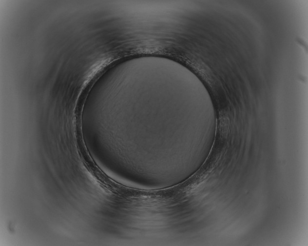 X0000091710626200709210942