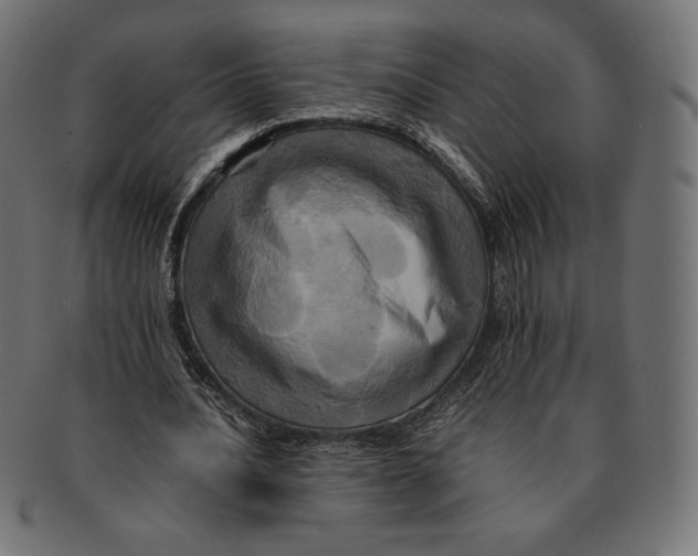 X0000091710628200709210942