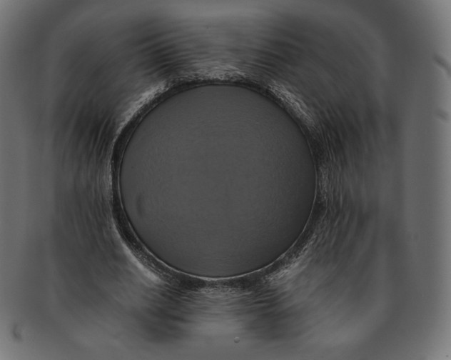 X0000091710630200709210942