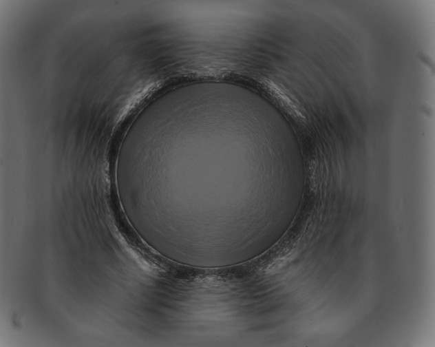 X0000091710634200709210942