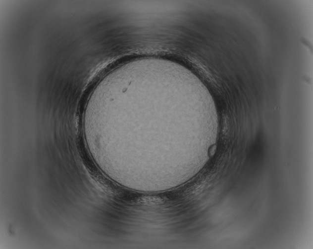 X0000091710636200709210942