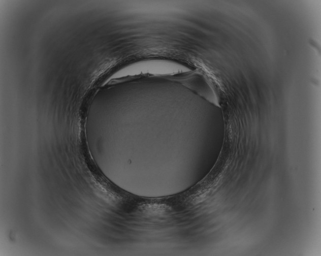 X0000091710637200709210942