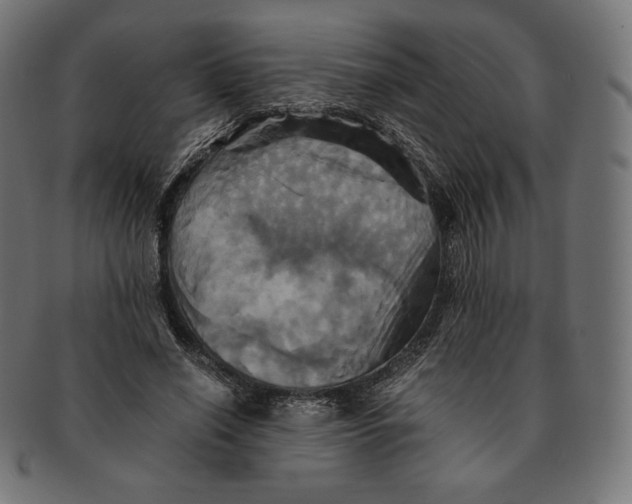 X0000091710638200709210942