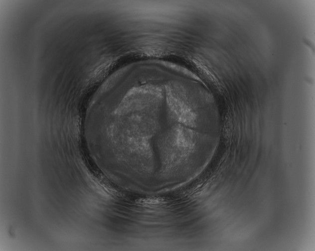 X0000091710639200709210942