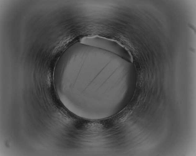 X0000091710644200709210942