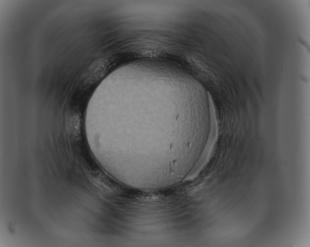 X0000091710646200709210942